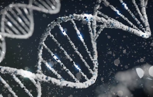 genetics
