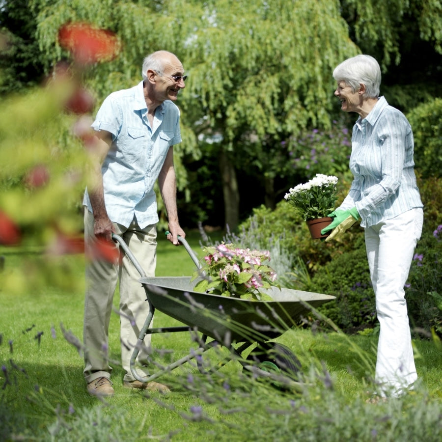 Two people gardening and planting flowers outdoors