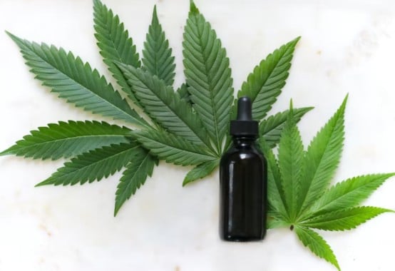 cbd