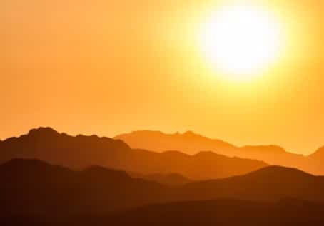 vitamin D