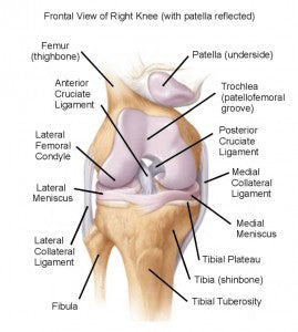 Dealing With & Treating Knee Pain from an MCL Injury