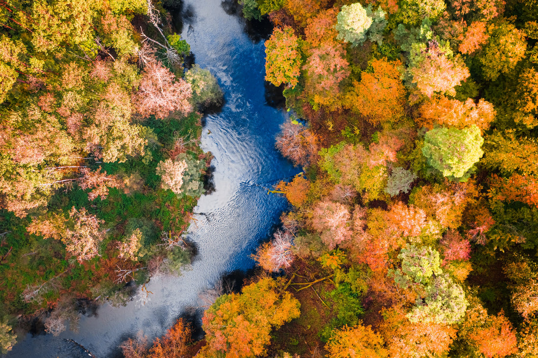 Aerial view of a river winding through colorful autumn forest