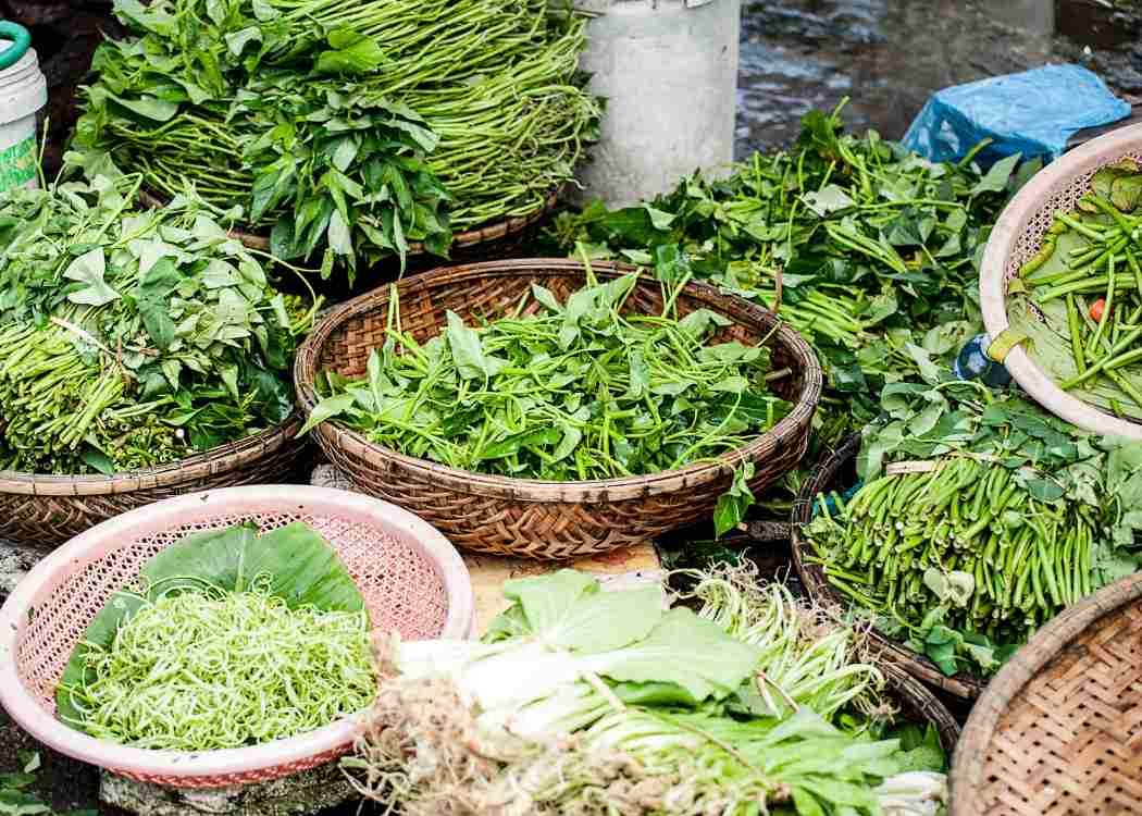 Anti-Viral and Immune Boosting Foods
